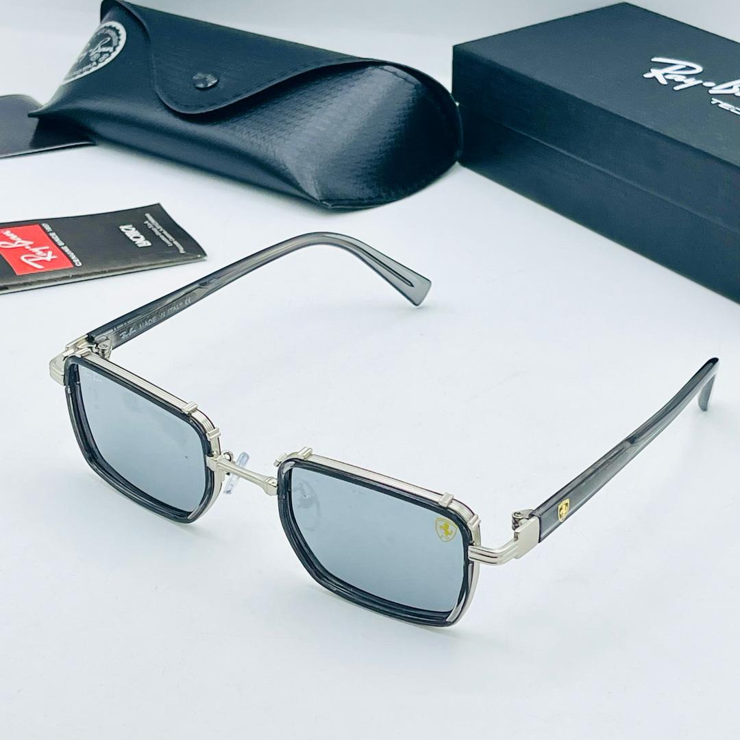 RBN10987 Gray Frame with Dark Shades